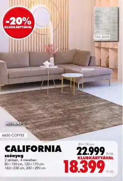 Diego CALIFORNIA szőnyeg ajánlat