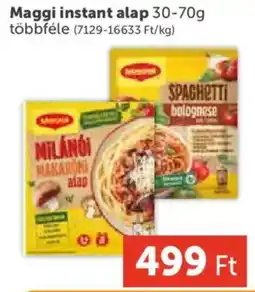 PRIVÁT Maggi instant alap ajánlat