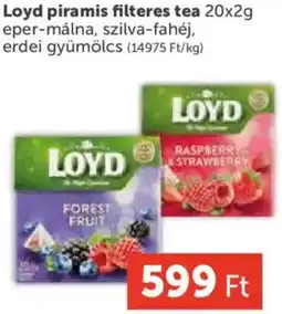PRIVÁT Loyd piramis filteres tea ajánlat