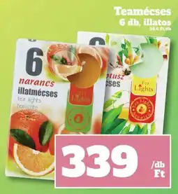 Vil-For 6 narancs Teamécses ajánlat