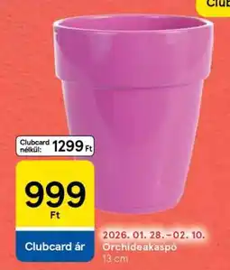 Tesco Orchideakaspo ajánlat