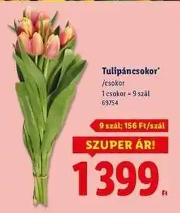 Lidl Tulipáncsokor ajánlat
