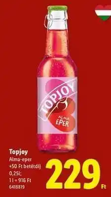 Lidl Topjoy ajánlat