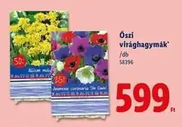 Lidl Őszi virághagymák ajánlat