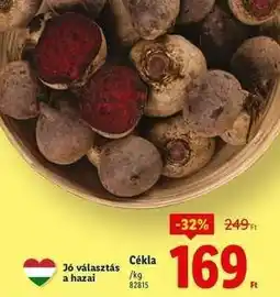 Lidl Cékla ajánlat