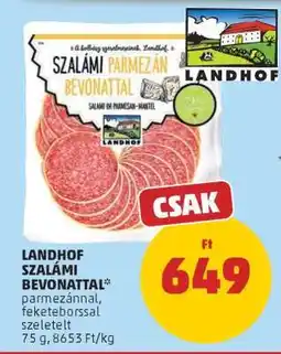 PENNY LANDHOF SZALÁMI BEVONATTAL ajánlat