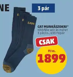 PENNY CAT Munkászokni ajánlat