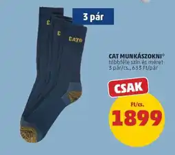 PENNY CAT Munkászokni ajánlat