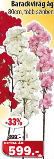 Vianni Drogéria Barackvirág ág ajánlat