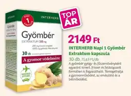 Herbaház INTERHERB Napi 1 Gyömbér Extraktum kapszula ajánlat