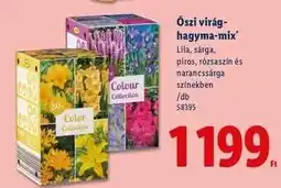 Lidl Őszi virág-hagyma-mix ajánlat