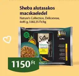 EcoFamily Sheba alutasakos macskaeledel ajánlat