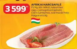 Auchan Afrikai Harcsafilé ajánlat