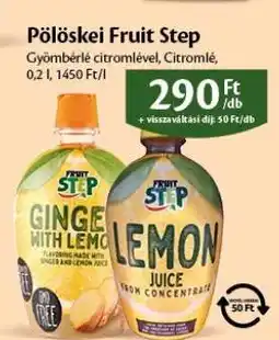 EcoFamily Pölöskei Fruit Step ajánlat