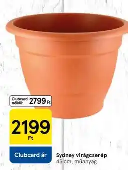 Tesco Sydney virágcserép ajánlat