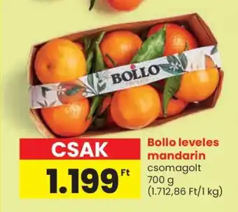 Bollo leveles mandarin