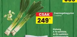 Spar Csemegehagyma ajánlat