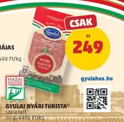 PENNY Gyulai Nyári Turista ajánlat