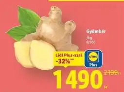Lidl Gyömbér ajánlat