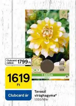 Tesco Tavaszi virághagyma ajánlat