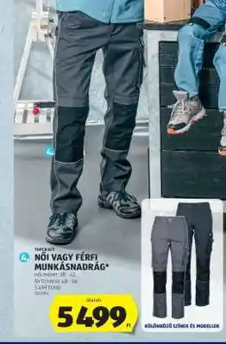 ALDI Női vagy férfi munkásnadrág ajánlat