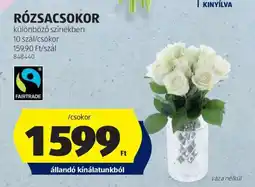 ALDI RÓZSACSOKOR ajánlat