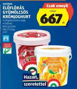 ALDI Kokárdás ÉLŐFLÓRÁS GYÜMÖLCSÖS KRÉMJOGHURT ajánlat