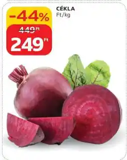 Auchan Cékla ajánlat