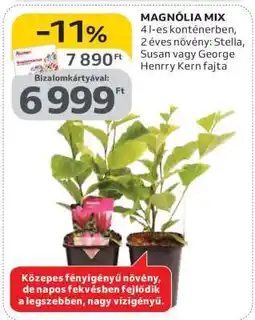 Auchan Magnólia Mix ajánlat