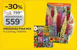 Auchan Virághagyma mix ajánlat