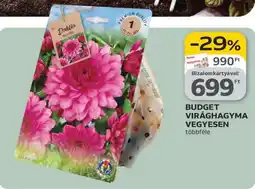 Auchan BUDGET VIRÁGHAGYMA VEGYESEN ajánlat