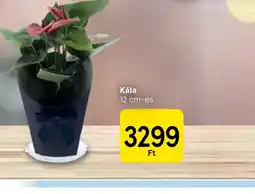 Tesco Kála ajánlat