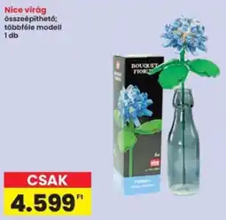 Interspar Nice virág ajánlat