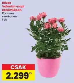 Interspar Rózsa Valentin-napi kerámiában ajánlat