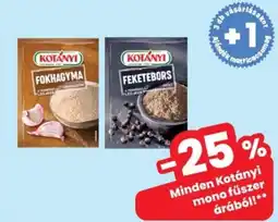Interspar Kotányi mono fűszer ajánlat