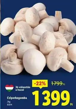 Lidl Csiperkegomba ajánlat