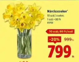 Lidl Nárciszcsokor ajánlat