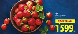 Lidl Eper ajánlat