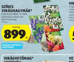 ALDI SZÍNES VIRÁGHAGYMÁK ajánlat