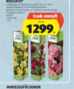 ALDI RZSATŐ ajánlat