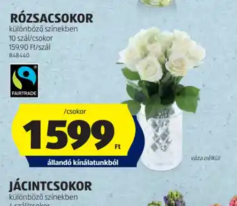 ALDI RZSACSOKOR ajánlat