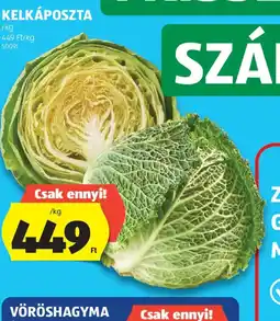 ALDI KELKÁPOSZTA ajánlat
