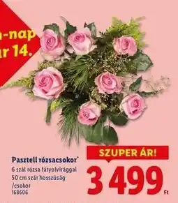 Lidl Pasztell rózsacsokor ajánlat