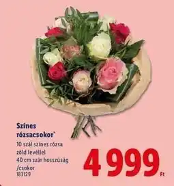 Lidl Színes rózsacsokor ajánlat