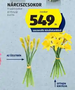ALDI Nárciszcsokor ajánlat