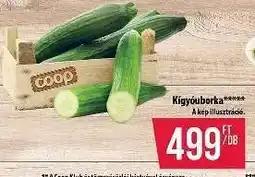Coop Kígyóuborka ajánlat