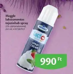 EcoFamily Meggle laktózmentes tejszínhab spray ajánlat