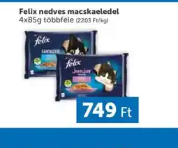 PRIVÁT Felix nedves macskaeledel ajánlat