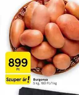Tesco Burgonya ajánlat