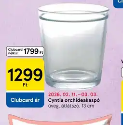Tesco Cyntia orchideakasp ajánlat